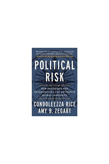Twelve Political Risk: How Businesses and Organizations Can Anticipate Global Insecurity