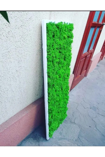 Narium Lichen Frame 100×30 cm