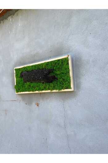 Narium Stabilized Moss Frame 70×30 cm
