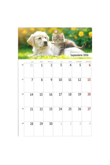 O-PRESS Calendar Beloved Animals year 2026, A5 format - magnetic, 12 sheets -O-Press