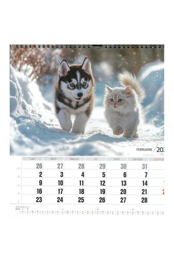 O-PRESS Calendar Beloved Animals 2026, square 300 x 300 mm, 8 sheets