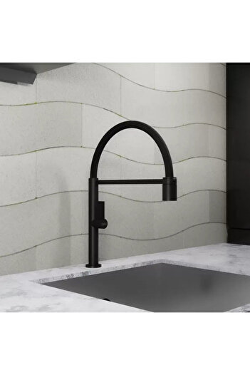 KORMAN TECHNIK Kitchen Faucet, Sanitary Brass, Black, CF2045