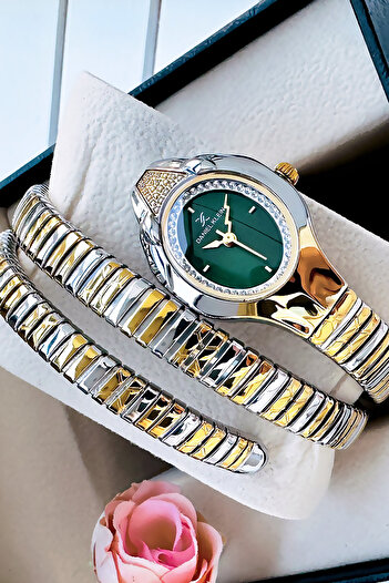 Daniel Klein Snake Watch Model - Women's Wrist Watch, Waterproof Gold Gumus Steel Band - Bracelet Gift Dkby2045C4