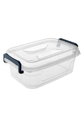 SHOPIENS Plastic Storage Box with Transparent Lid & Blue Handles 1.3L