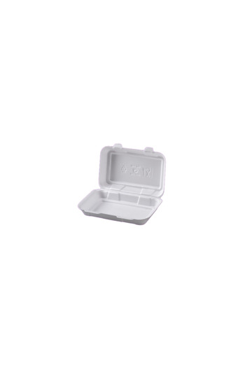 Freecode Foam Plate with Lid Without Compartment 10 Pieces Picnic Plate Foam Plate
