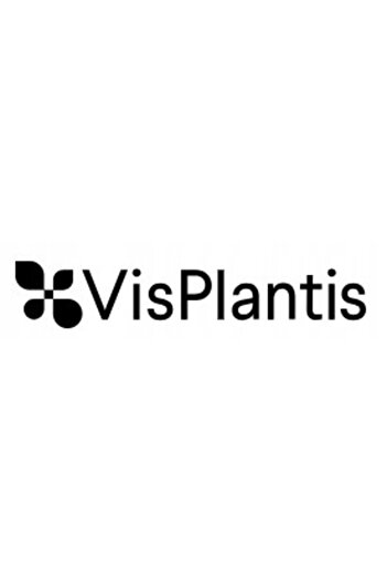 Other VIS PLANTIS Shampoo for thin hair without volume with black cumin 400ml