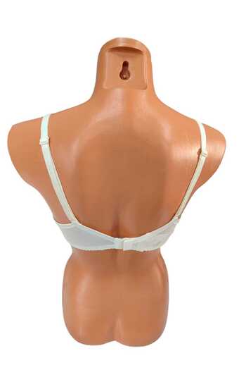 wear treasure B Cup Wireless Padded Bra