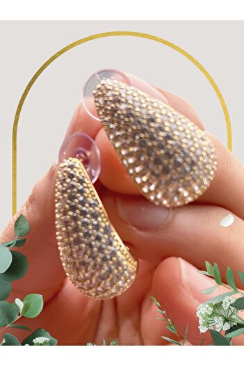 VEGALUXE Steel Stylish Design Zircon Stone Earrings Gold Color