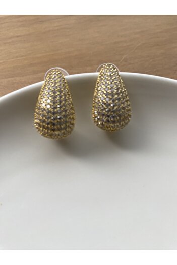 VEGALUXE Steel Stylish Design Zircon Stone Earrings Gold Color