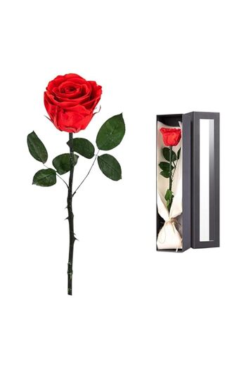 Generic Tazweeq Flowers for Delivery Prime, Preserved Roses Flower Gifts for Women, Roses Single Rose Gifts