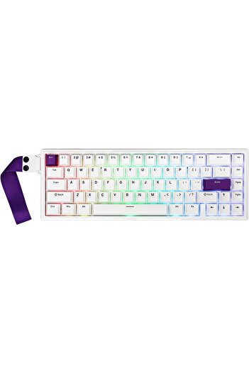 Epomaker HE68 Wired Magnetic Gaming Keyboard, 8000 Polling Rate, 0.125ms Latency, RGB Backlit, Gaske