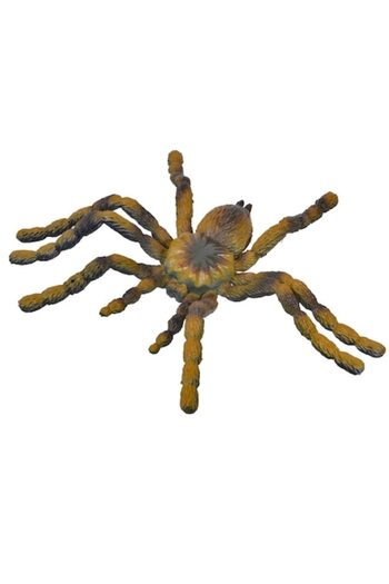 SHOPIENS Spider Toy, Plastic, Brown-Green, 5x8.5 cm, MYONNA IT & E- COMMERCE ®