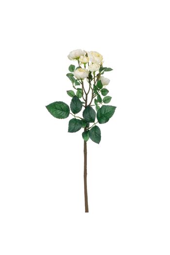 OEM Floare Artificiala Alba Piciorul Cocosului 40cm