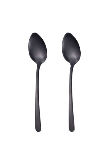 OEM Stainless Steel Spoons Black 21cm - 2pcs