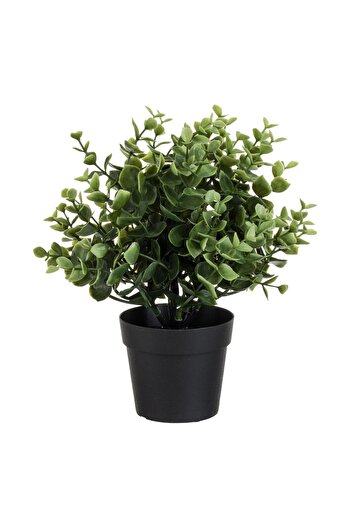 OEM Ghiveci Decorativ din Plastic Negru cu Planta Buxus Ø9x25cm