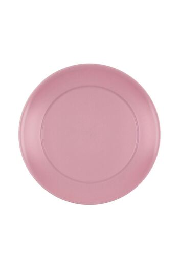 OEM Plastic Fruit Plate Powder Pink 20cm