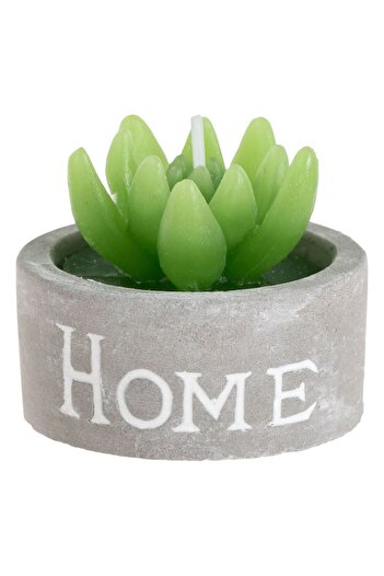 OEM 3D Cactus Summer Candle in Gray Pot Home Ø4.5x5cm