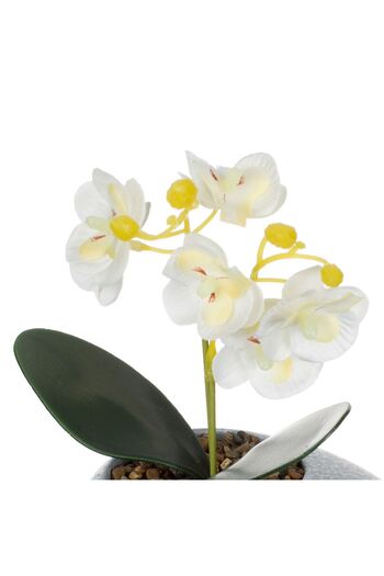 OEM Ghiveci Flori Decorativ cu Planta Artificiala Orhidee 12x10x18cm