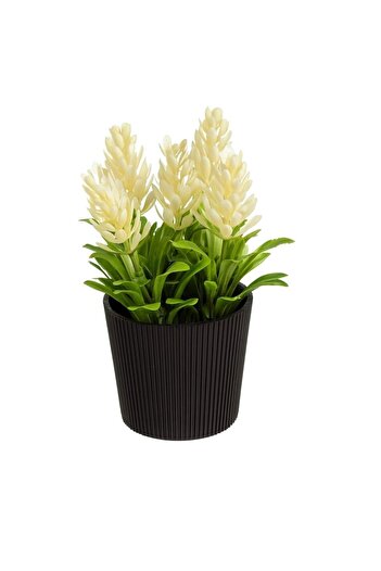 OEM Ghiveci Decorativ Negru cu Planta Artificiala cu Flori Albe Ø6x14cm
