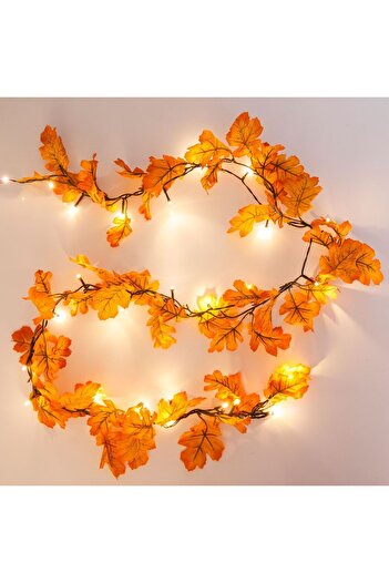 OEM Orange Autumn Decorative Garland with 30 LED Bulbs - 2m
