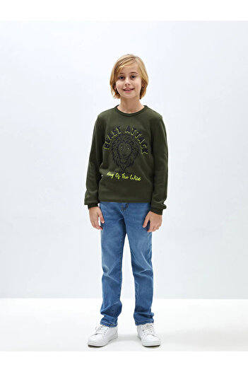 LC Waikiki Lcw Kids Green Crew Neck Pattern Long Sleeve Boy's Knitwear Sweater