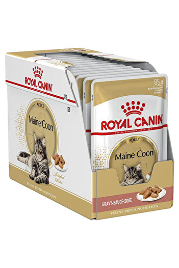 Royal Canin Wet Food - Fbn Maine Coon 12X85G (Pouches)