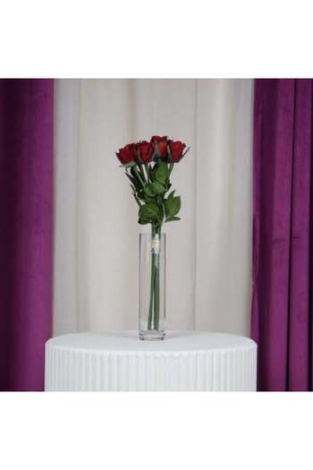 Gifts World Baby Rose - Oudi