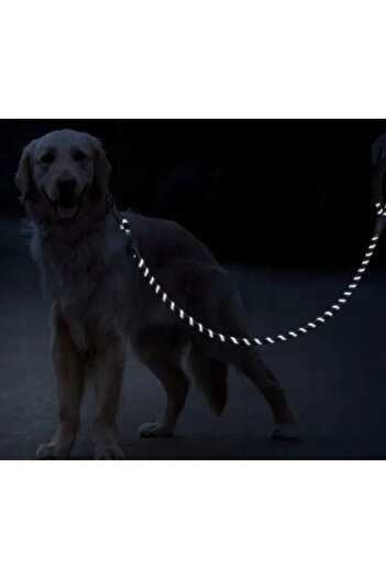 Other DOG LEASH STRONG ROPE THICK REFLECTIVE LINE 3m