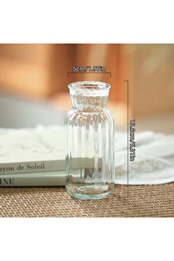 Choice Transparent-2 Handmade Carved Glass Vase - Hydroponic Planter for Home/Office Gothic Decor, Mini Pla
