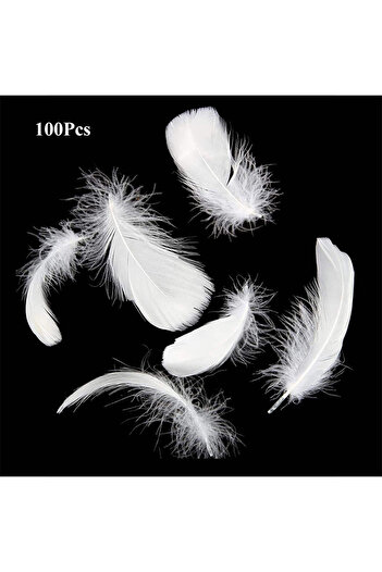 Choice 100Pcs 100Pcs White Feather Goose Feathers for Crafts DIY Wedding Party Halloween Decoration Goose N