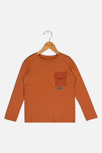 Sinsay Kids Boy Crew Neck long Sleeve Plain T-Shirt, Brown