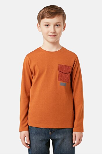 Sinsay Kids Boy Crew Neck long Sleeve Plain T-Shirt, Brown