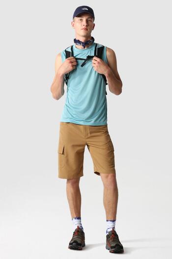THE NORTH FACE Ανδρικό σορτς Horizon EU καφέ