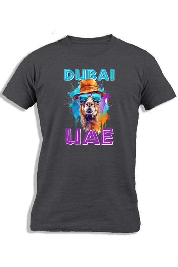 Ay Cabron CAMEL SPLASH DUBAI