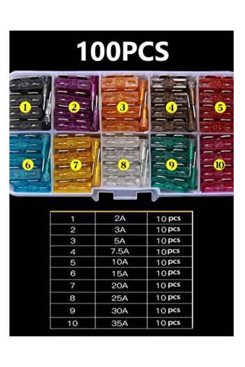 Fstyle 100 Piece Car Fuses Assorted Set with Box