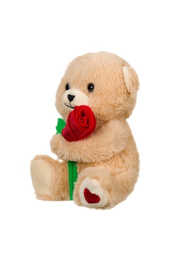 SHOPIENS Plush Teddy Bear, Rose Pattern, Beige, 15 cm, MYONNA IT & E- COMMERCE ®