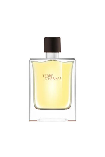 Hermes Terre d'Hermes EDT Men 100 ml
