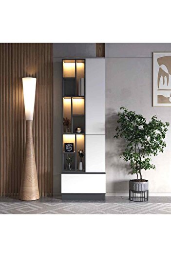 Stylish Home Decorative wardrobe with lighting, model 226x70x40, white and gray