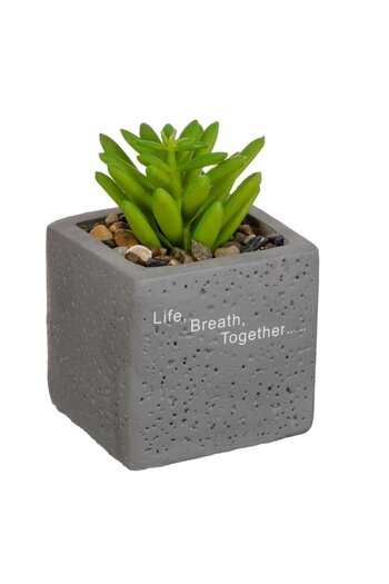 OEM Decorative Cement Pot with Artificial Plant & Pebbles Message "Life Breath Together" 6x6x9cm