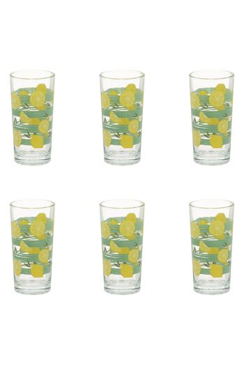 OEM Set of 6 Transparent Glass Glasses "Lemons" 250ml