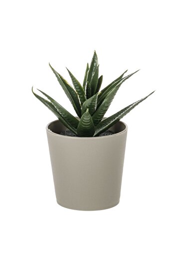 OEM Decorative Plastic Pot with Artificial Cactus Ø6x8.5cm