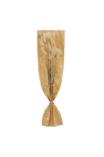 OEM Ramuri Decorative de Coada Iepurelui Bunny Tails Crem 60cm