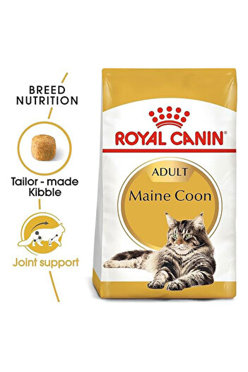 Royal Canin FBN Maine Coon Adult 2 kg Feline Breed Nutrition Cat Food