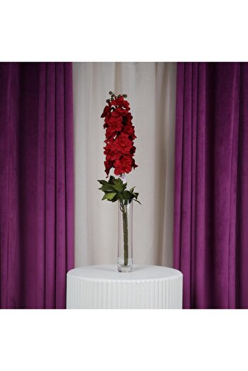 Gifts World Delphinium flower Oudi 9