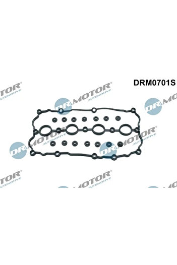 DR.MOTOR AUTOMOTIVE Gasket set valve cover AUDI A3 (8P1) 2003-2008