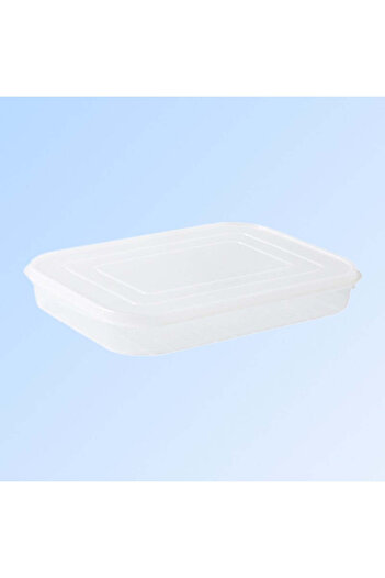vivimall Food container for refrigerator 24.5 x 18.5 cm | HomeOrganix