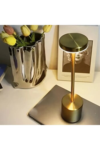 OEM Portable desk table lamp, with battery and touch