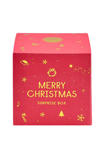 OEM Secret Santa edition Surprise Box 4-6 mixed products