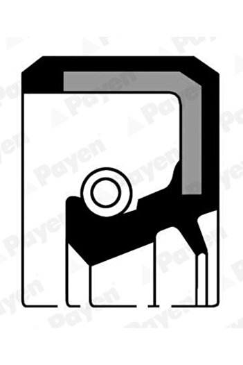 PAYEN Crankshaft seal MITSUBISHI DELICA / SPACE GEAR 1994-2006
