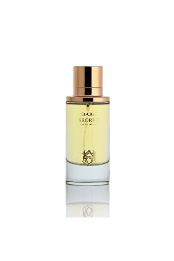 Perfume Gallery Dark Secret Eau de Parfum 100 ml